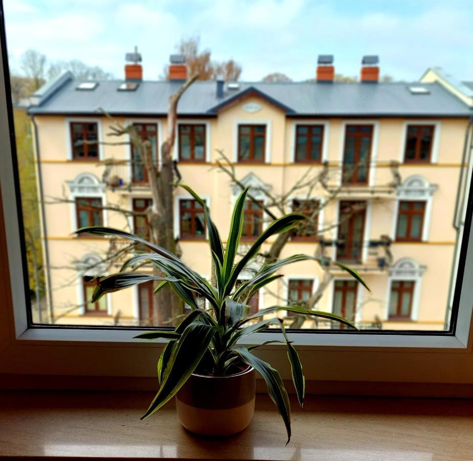 Apartament Pacific 2 Rooms / Pokoje 슈비노우이스쳬 외부 사진